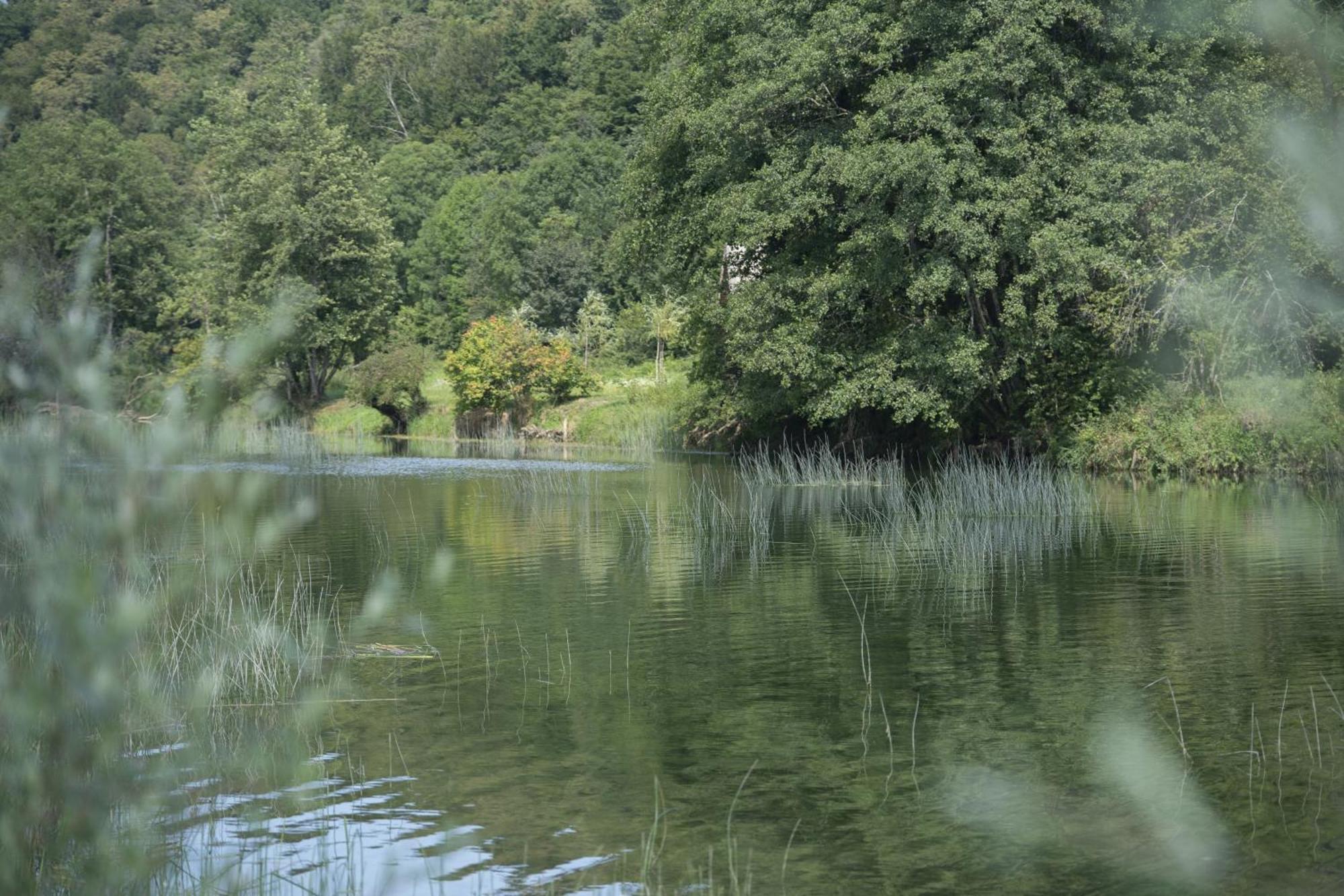 Kuca Za Odmor Casa Huerta Villa Frketic Selo Dış mekan fotoğraf